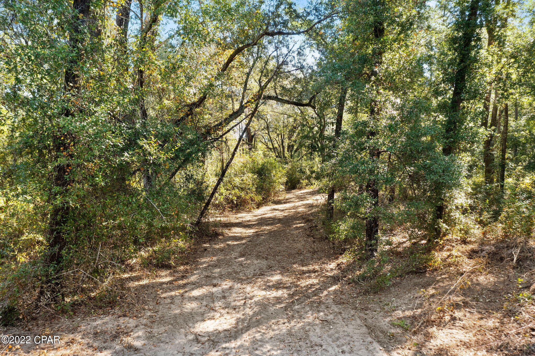 3199 Pate Pond Road Caryville, FL 32427 - Photo 5 of 36