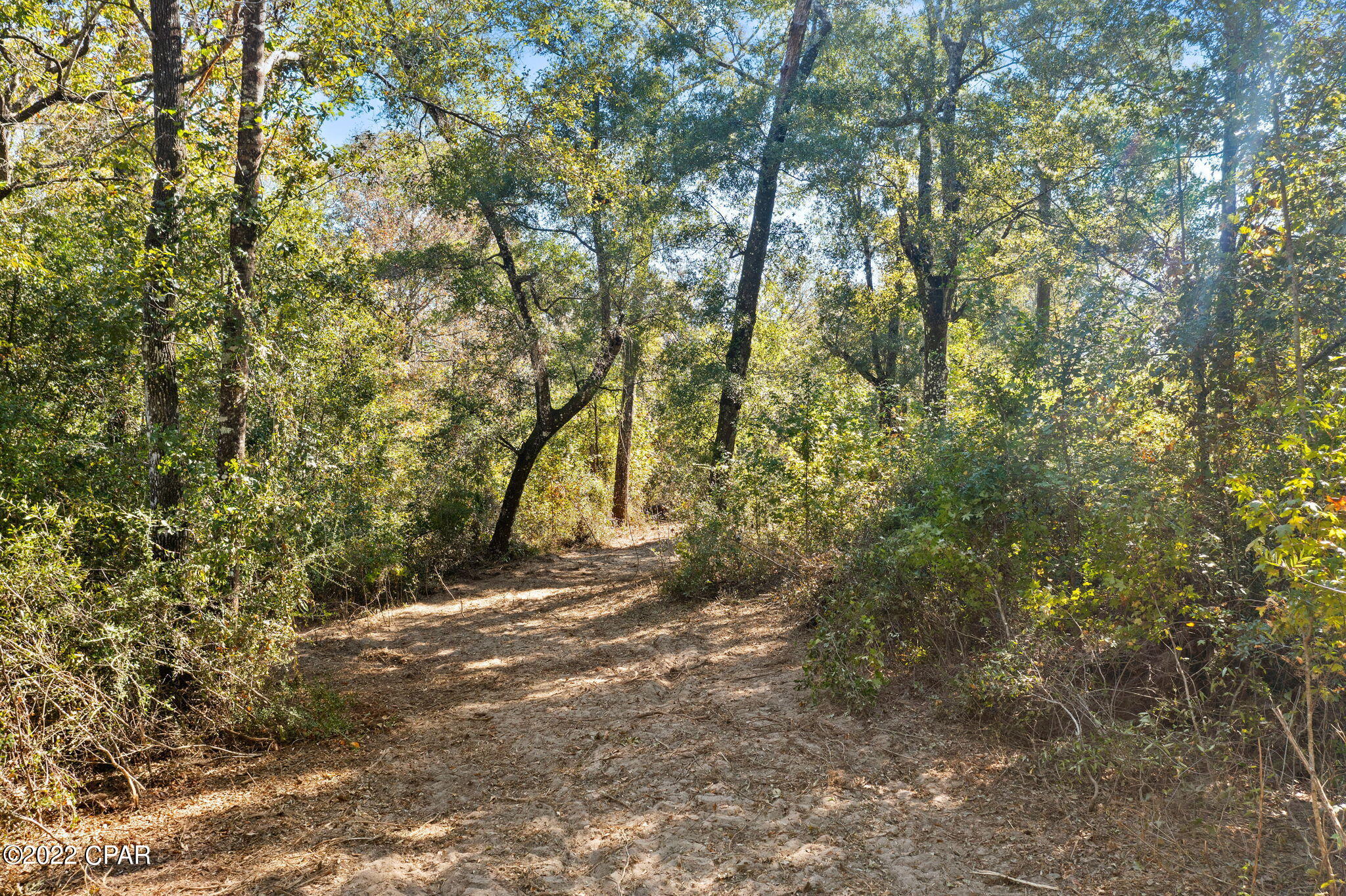 3199 Pate Pond Road Caryville, FL 32427 - Photo 6 of 36