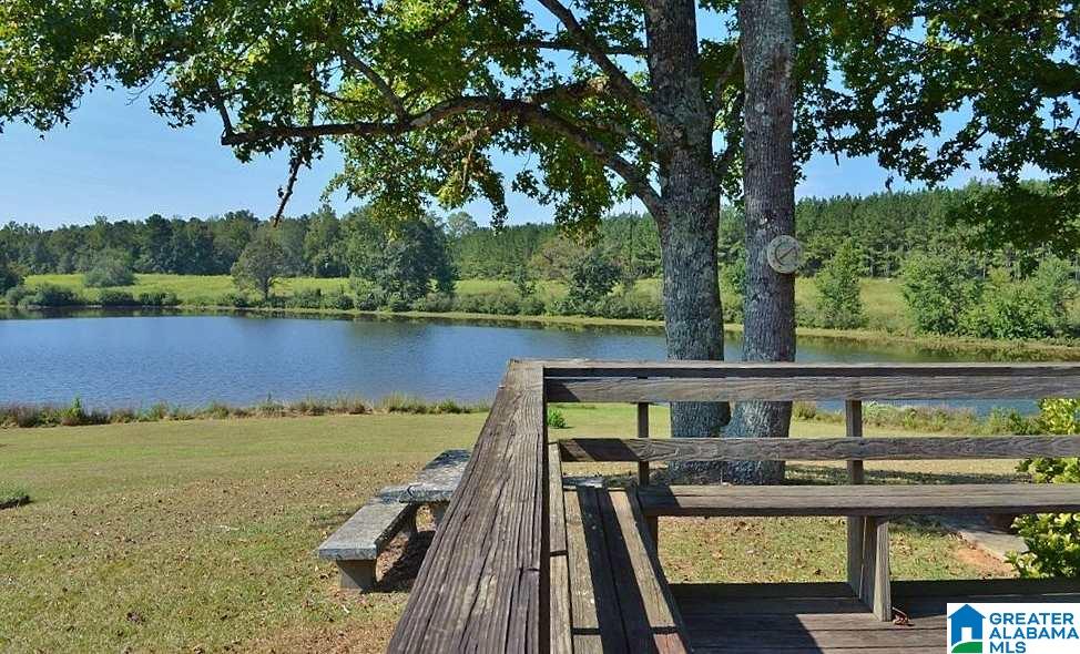 565 Luker Lake Road Pell City, AL 35128 - Photo 15 of 50