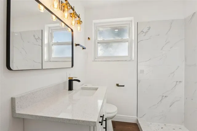 a bathroom with a sink a toilet and mirror