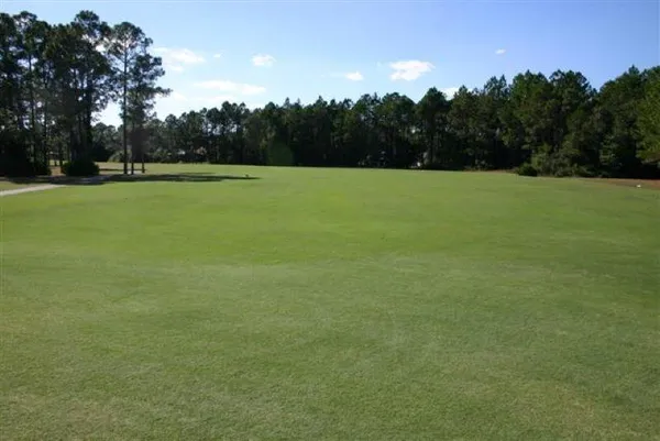 a view of a green field with trees in the background
