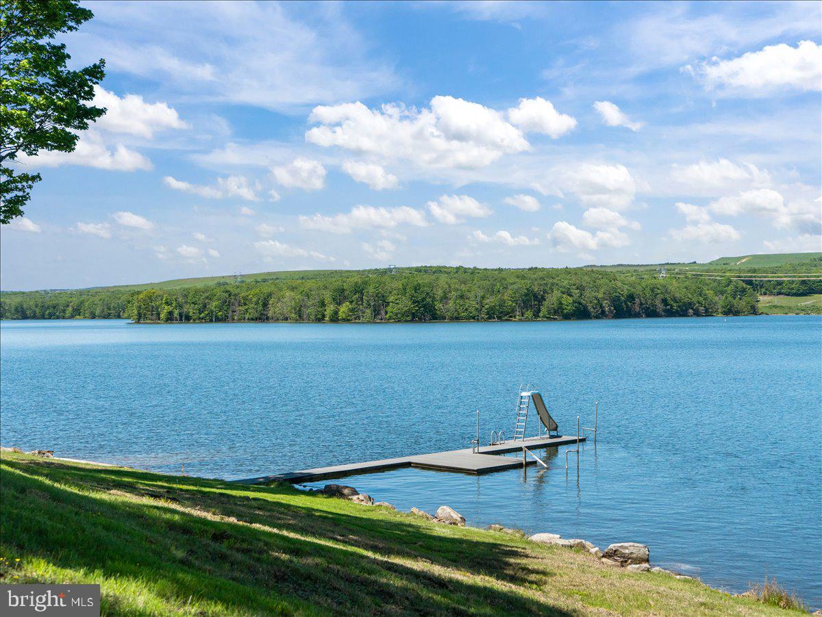 663 Bear Woods Road Mount Storm, WV 26739 - Photo 57 of 73 Tranquil lakeside retreat awaits you.
