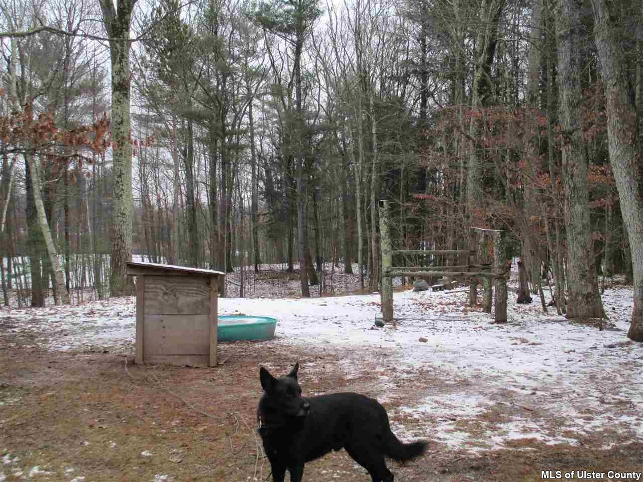 1422 Hearts Content Road Round Top, NY 12473 - Photo 23 of 24 Photo 23