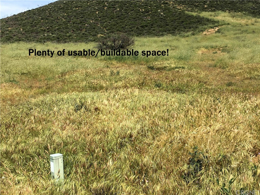 0 Anthony Road Agua Dulce, CA 91390 - Photo 1 of 1 Gallery Image 1