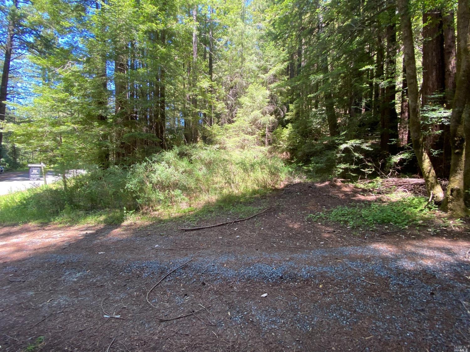 a view of a dirt road with large trees