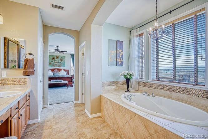 2716 Stonecrest Point Highlands Ranch, CO 80129 - Photo 19 of 40