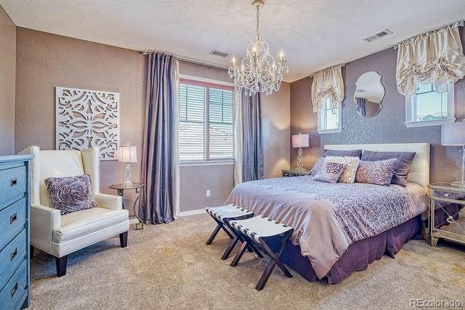 2716 Stonecrest Point Highlands Ranch, CO 80129 - Photo 22 of 40