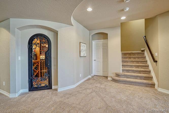 2716 Stonecrest Point Highlands Ranch, CO 80129 - Photo 25 of 40