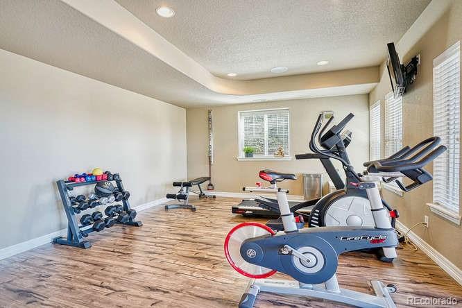 2716 Stonecrest Point Highlands Ranch, CO 80129 - Photo 32 of 40