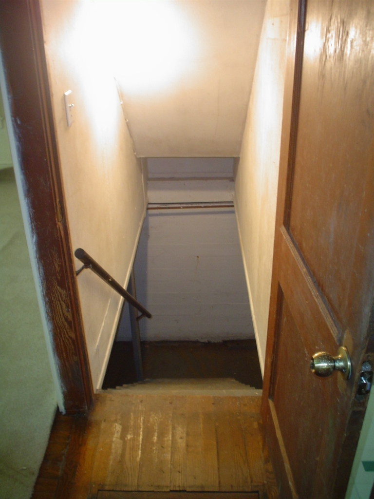 3920 Welcome Valley Road Southeast Roanoke, VA 24014 - Photo 14 of 17 stairs to basement