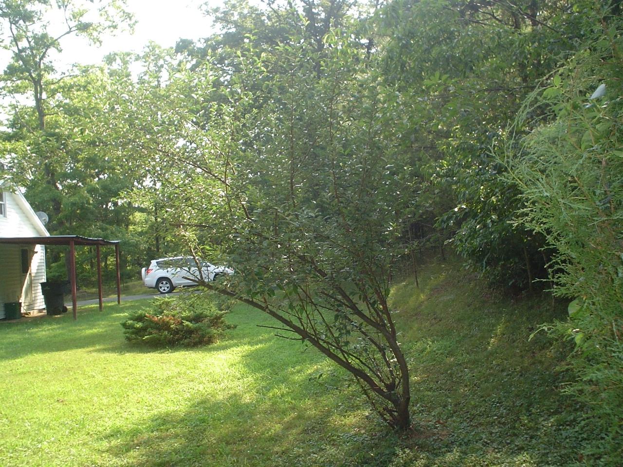 3920 Welcome Valley Road Southeast Roanoke, VA 24014 - Photo 5 of 17 yard