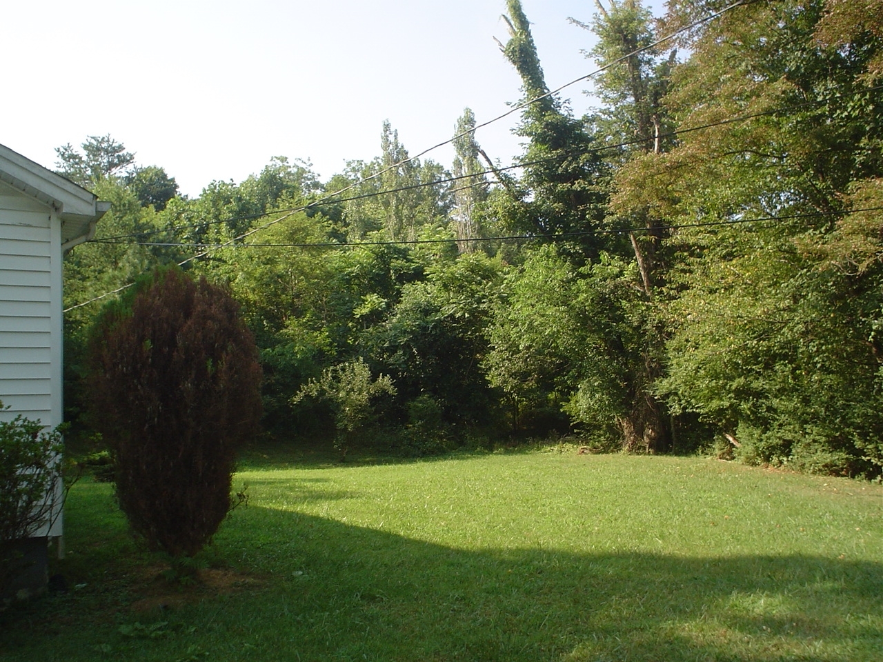 3920 Welcome Valley Road Southeast Roanoke, VA 24014 - Photo 7 of 17 yard