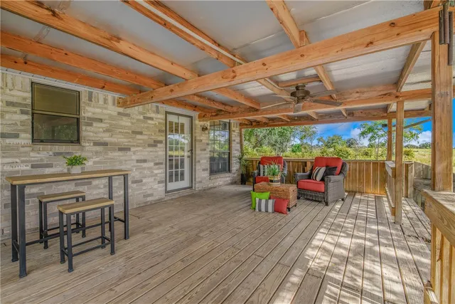 a view of a forest with trees in the background