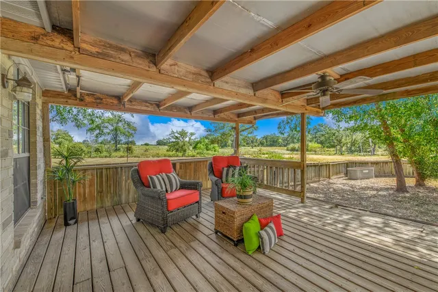 a view of a forest with trees