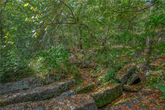 $1,380,000 | 5891 Koppe Bridge Road, College Station, TX 77845