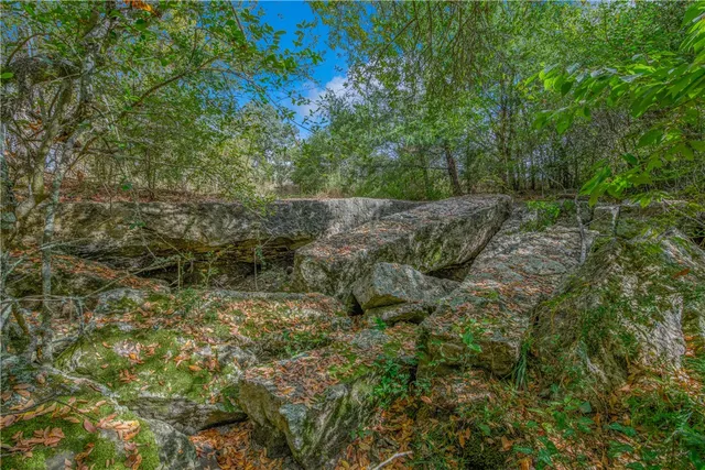 $1,380,000 | 5891 Koppe Bridge Road, College Station, TX 77845