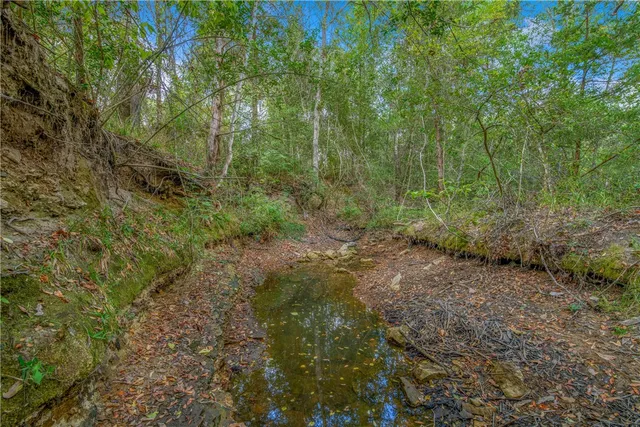 $1,380,000 | 5891 Koppe Bridge Road, College Station, TX 77845