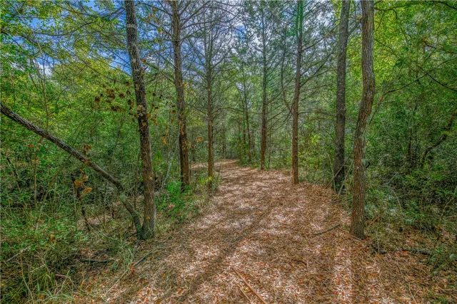 $1,380,000 | 5891 Koppe Bridge Road, College Station, TX 77845