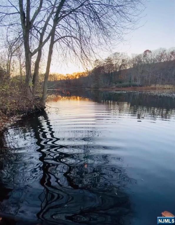 6 Timberwood Lane Oak Ridge, NJ 07438 - Photo 44 of 44