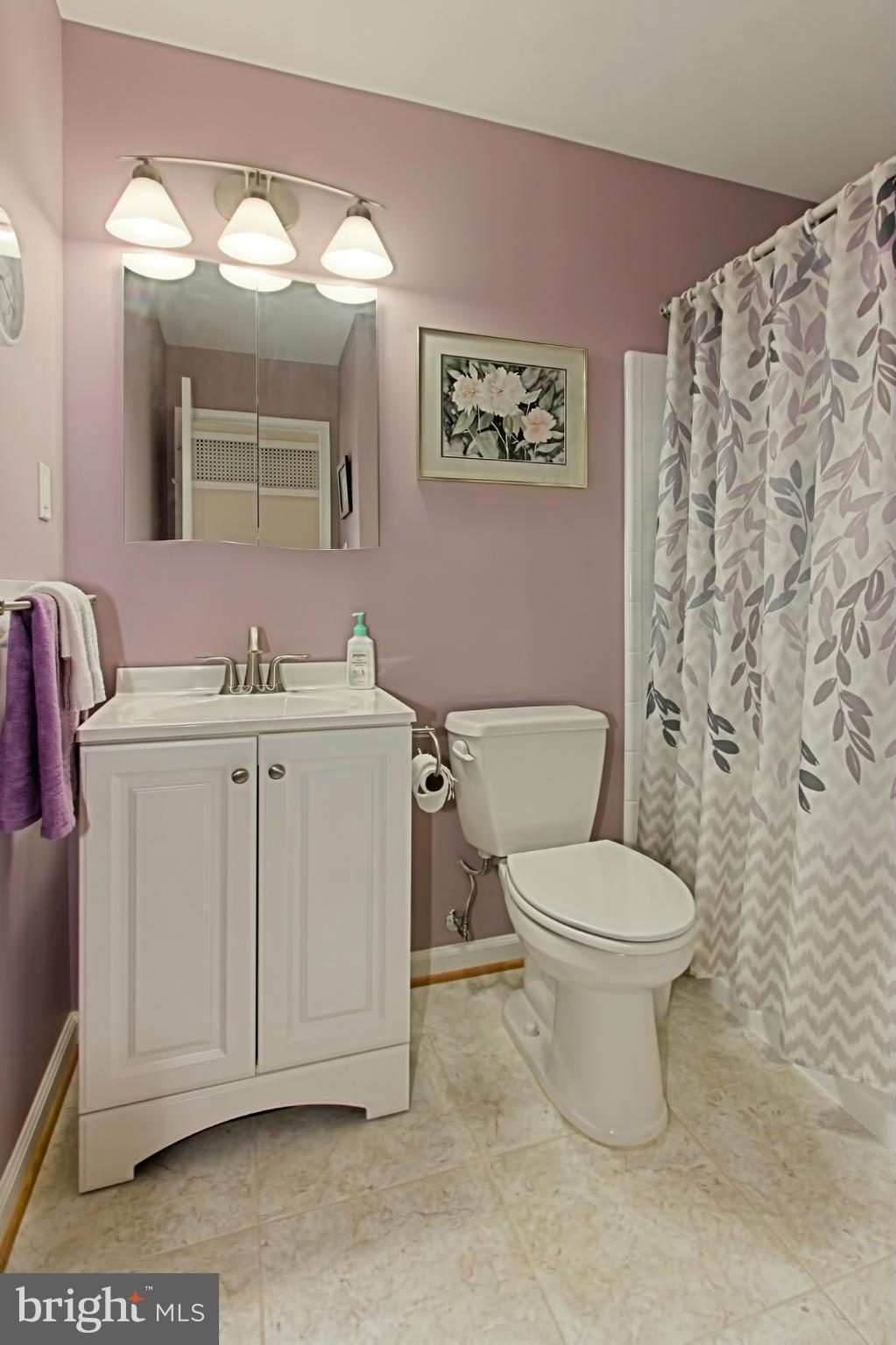 8118 Carrick Lane Springfield, VA 22151 - Photo 13 of 16 Bath