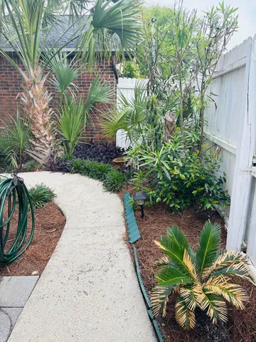 a view of a backyard with plants and large trees