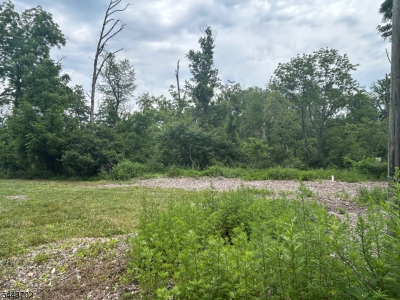 425 Pittstown Road Pittstown, NJ 08867 - Photo 6 of 6