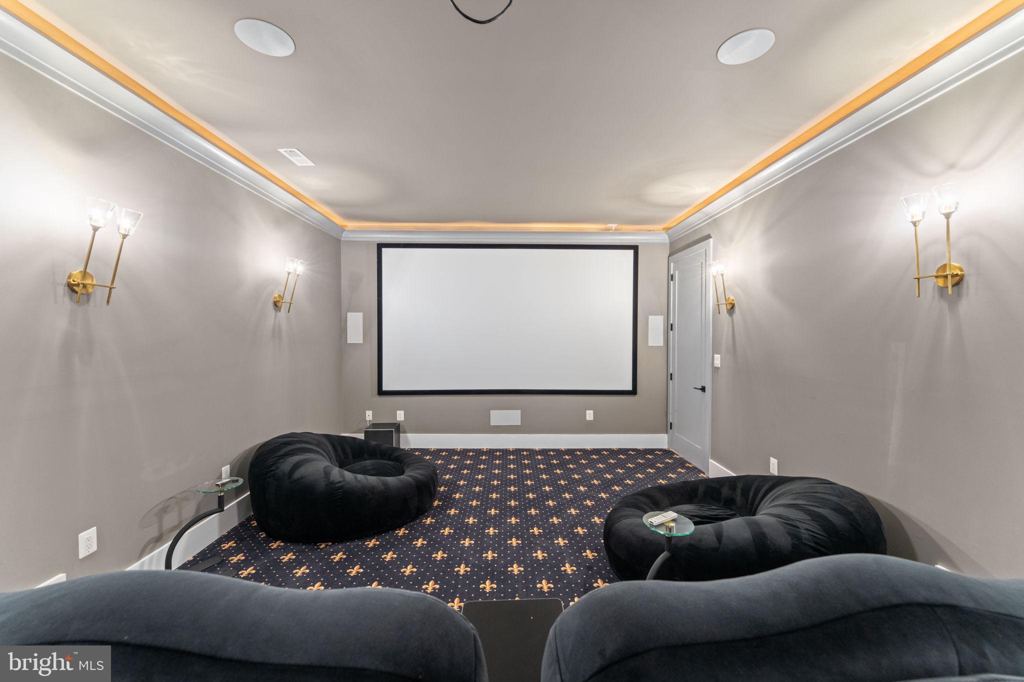 608 Walker Road Great Falls, VA 22066 - Photo 85 of 102 Movie night