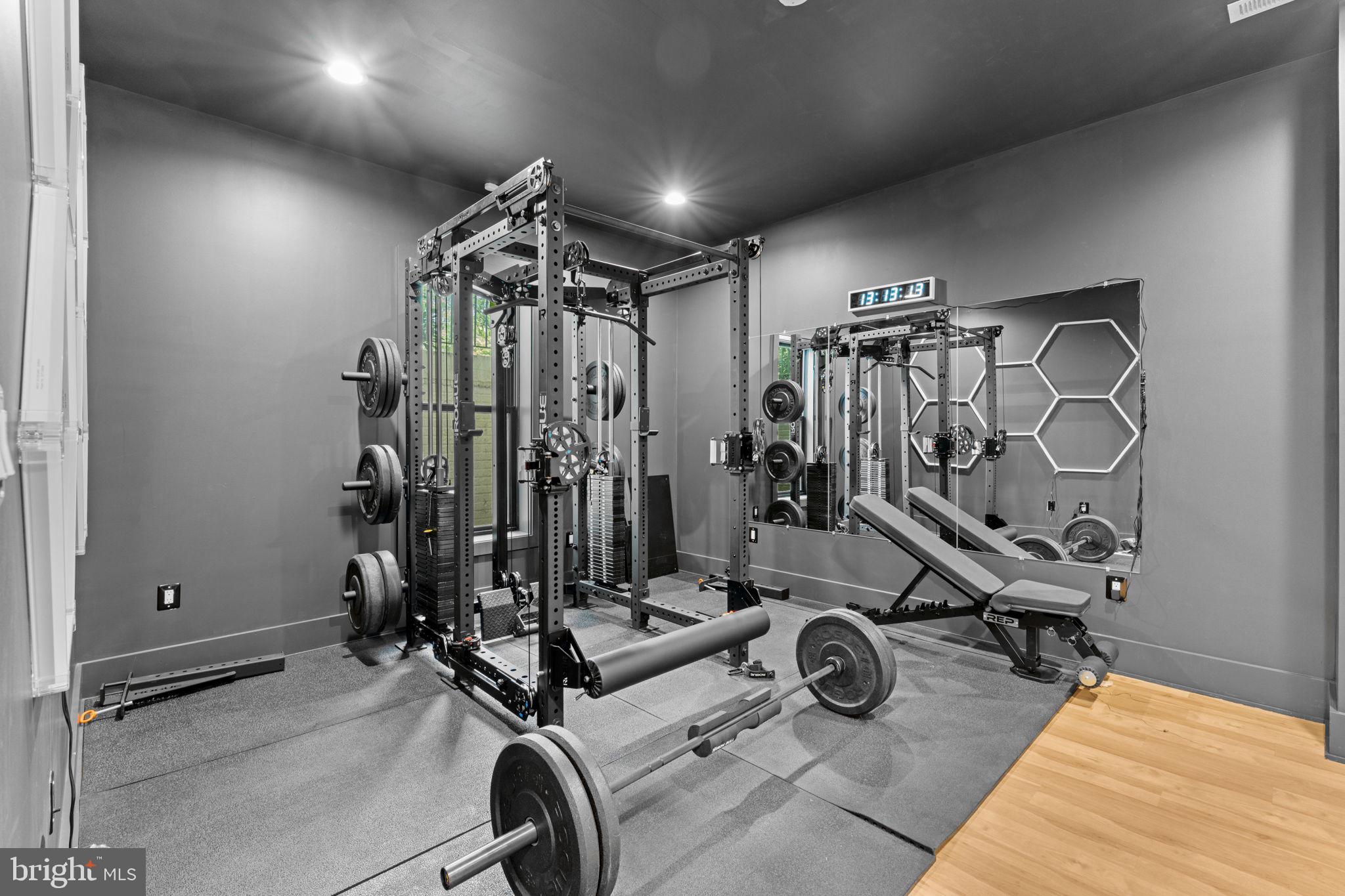 608 Walker Road Great Falls, VA 22066 - Photo 87 of 102 Rougue Gym