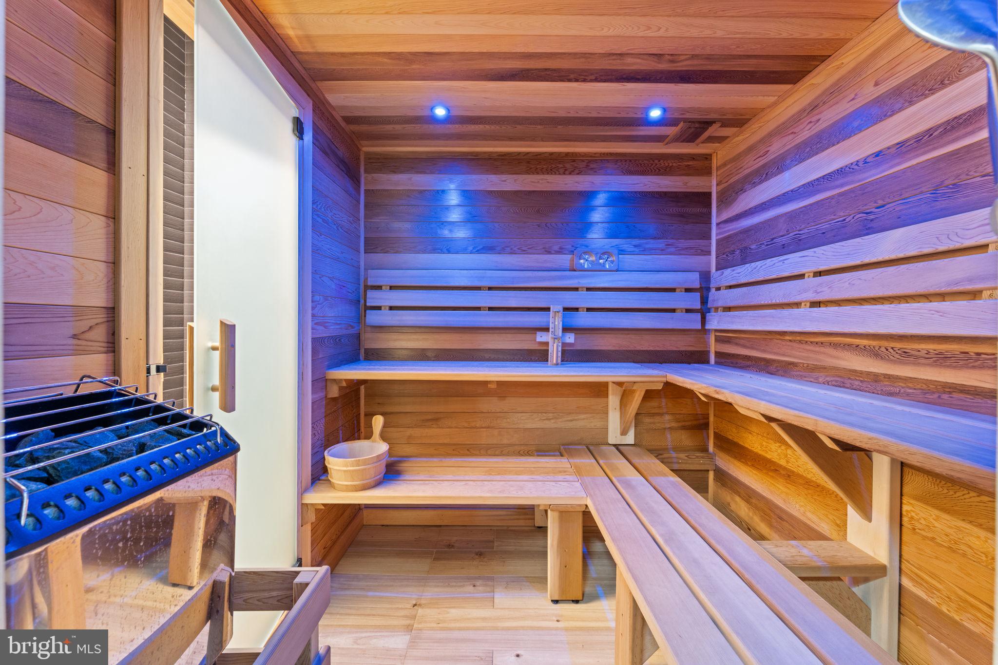 608 Walker Road Great Falls, VA 22066 - Photo 95 of 102 Sauna