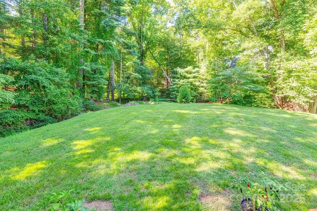 a view of a grassy field with trees in the background
