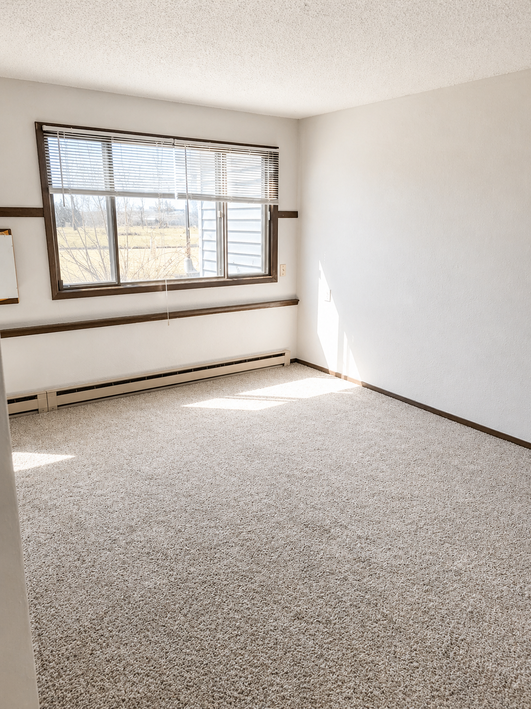 700 3rd Street, Unit 3 Barrett, MN 56311 - Photo 5 of 10