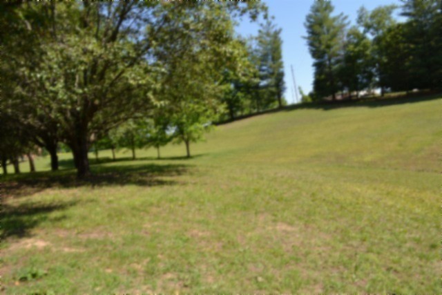 318 Rock Springs Road Celina, TN 38551 - Photo 43 of 87 a view of swimming pool and trees