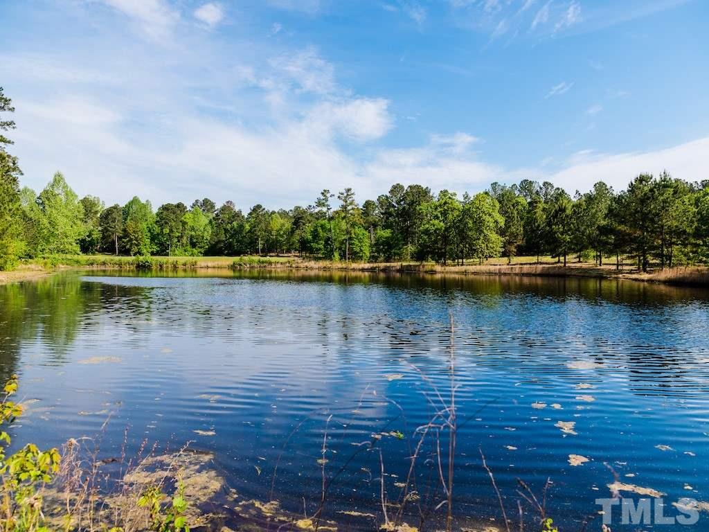 Tbd Pilson Road Cameron, NC 28326 - Photo 10 of 15 Gallery Image 10