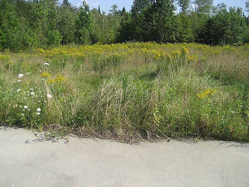 343 West Mills Road Anson, ME 04911 - Photo 5 of 12 Land/Lot.