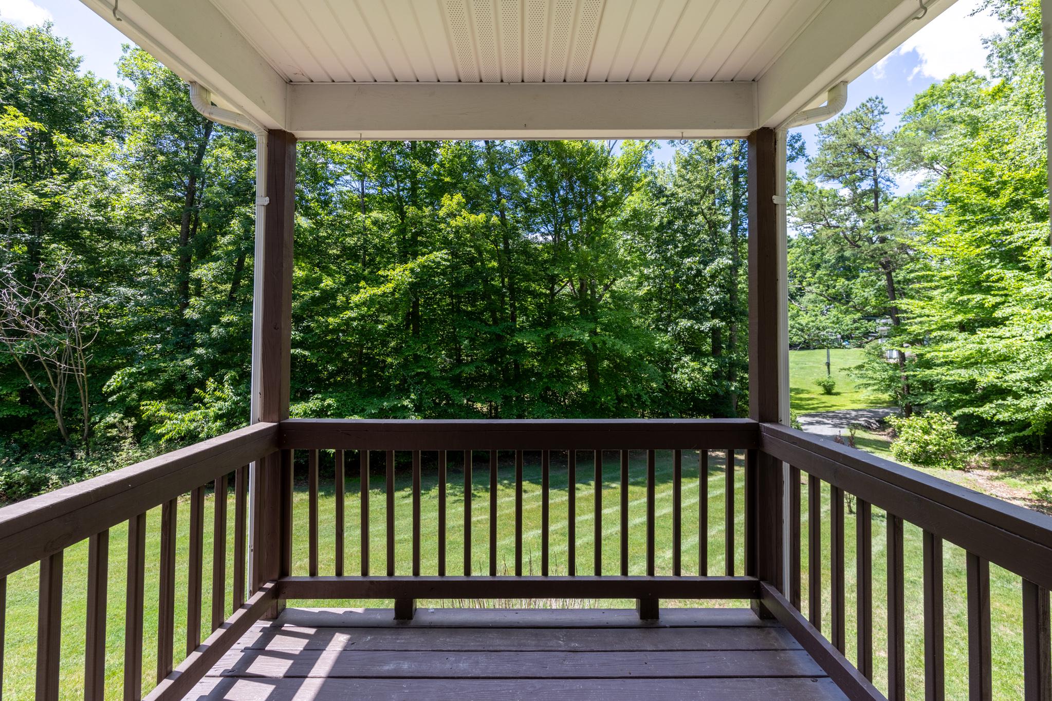 4771 South Blue Ridge Turnpike Rochelle, VA 22738 - Photo 26 of 38 Balcony view - off of living room