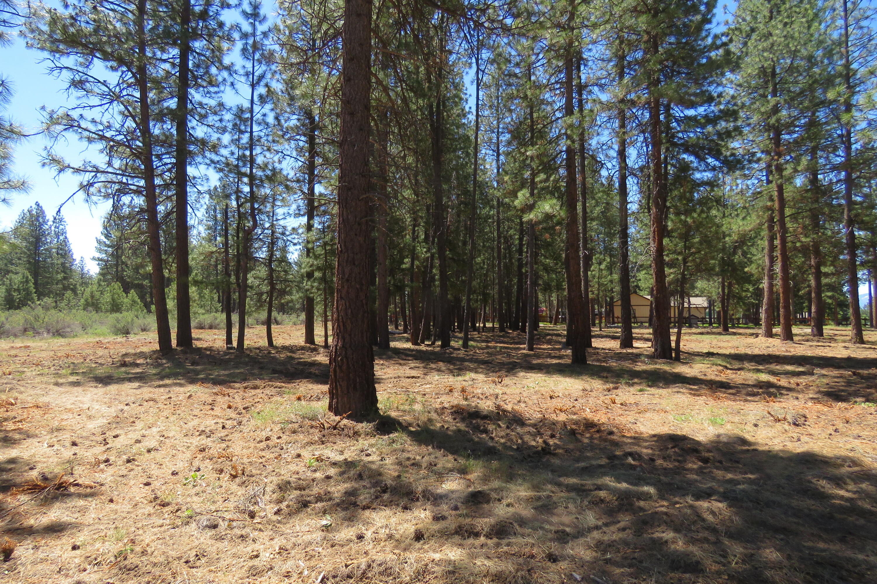 7 Castle Drive Chiloquin, OR 97624 - Photo 12 of 26 IMG_4604