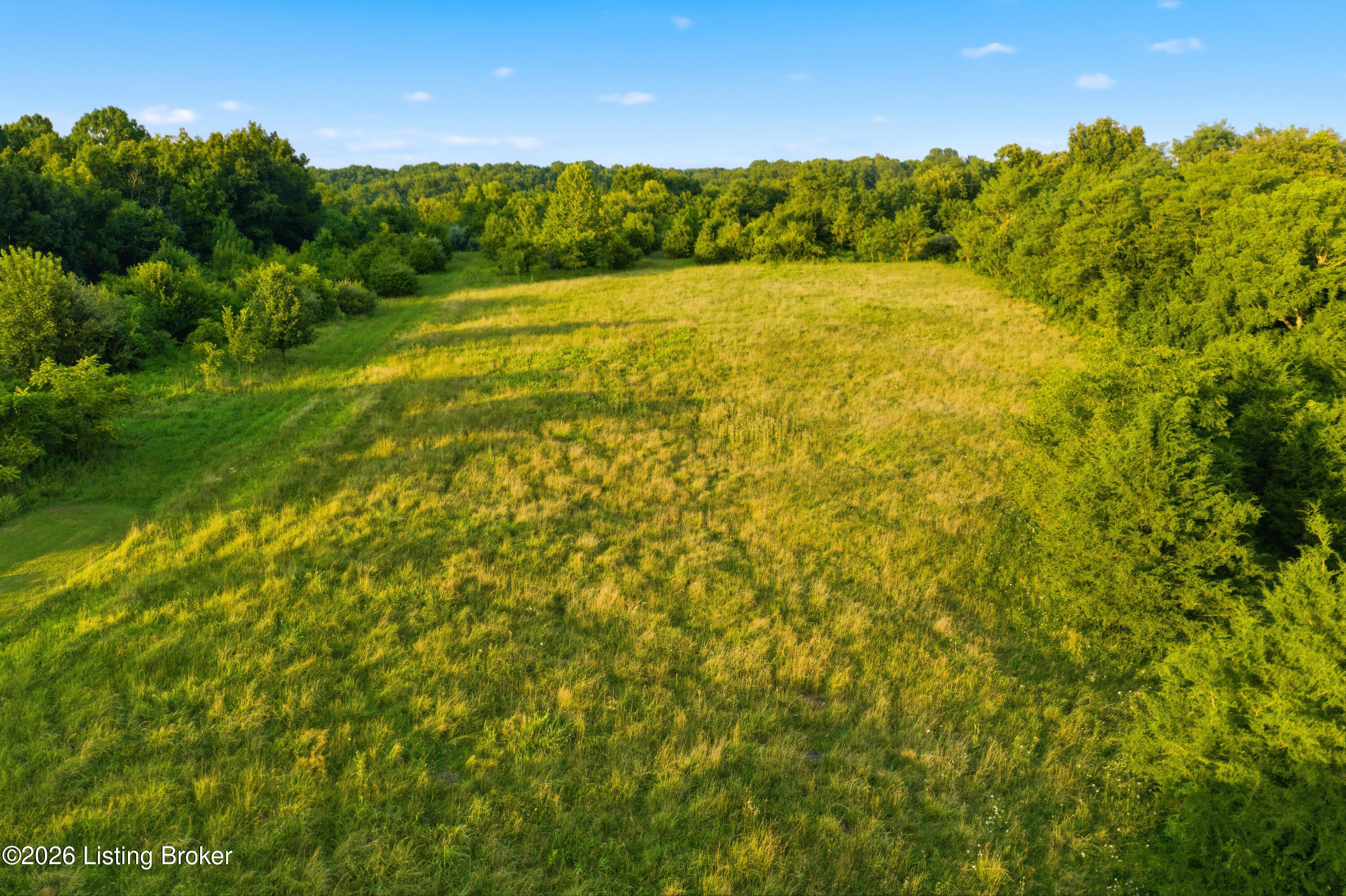 970 Jacksonville Road Bagdad, KY 40003 - Photo 53 of 69 970-Jacksonville-Rd-(34-of-72)