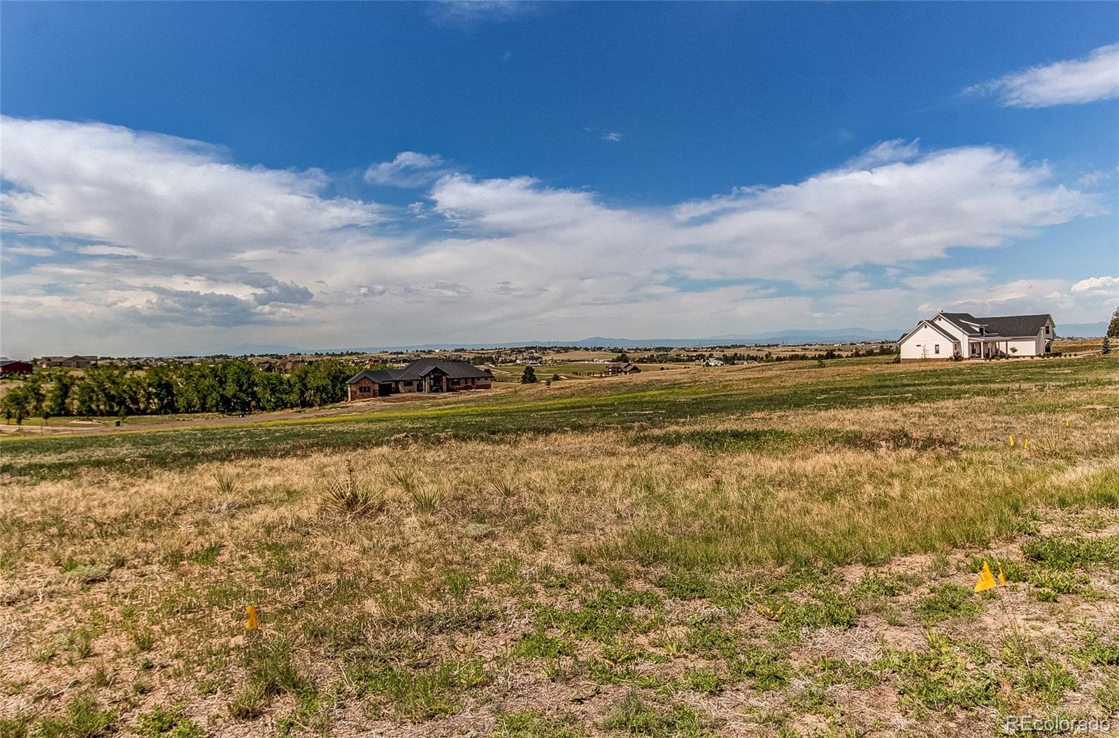 10906 Shadow Pines Road Parker, CO 80138 - Photo 11 of 13 Gallery Image 11