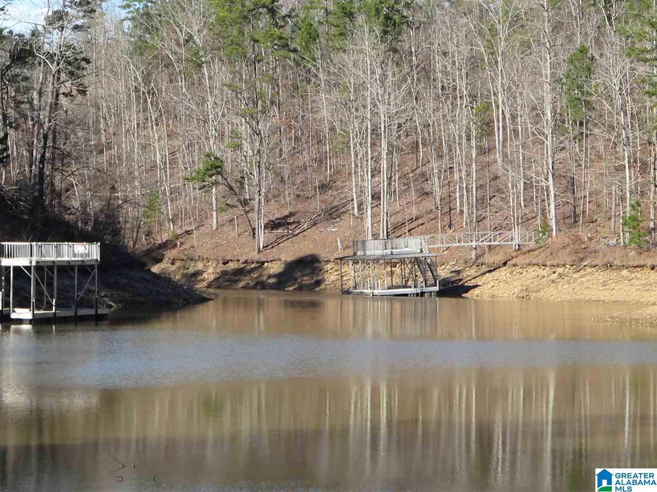 Dogwood Ridge, Unit 20 Wedowee, AL 36278 - Photo 7 of 7
