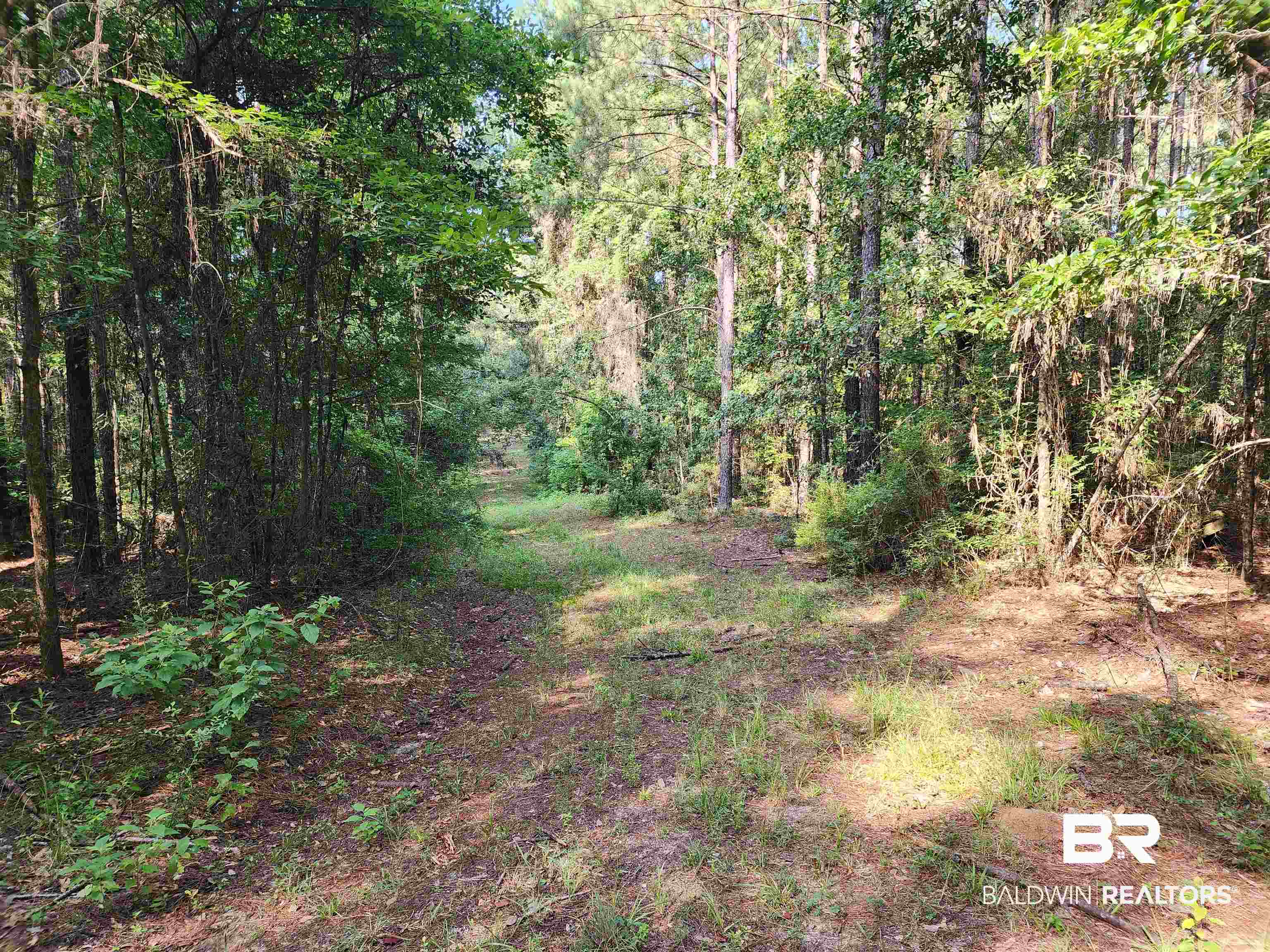 0 Lowery Road Atmore, AL 36502 - Photo 14 of 28
