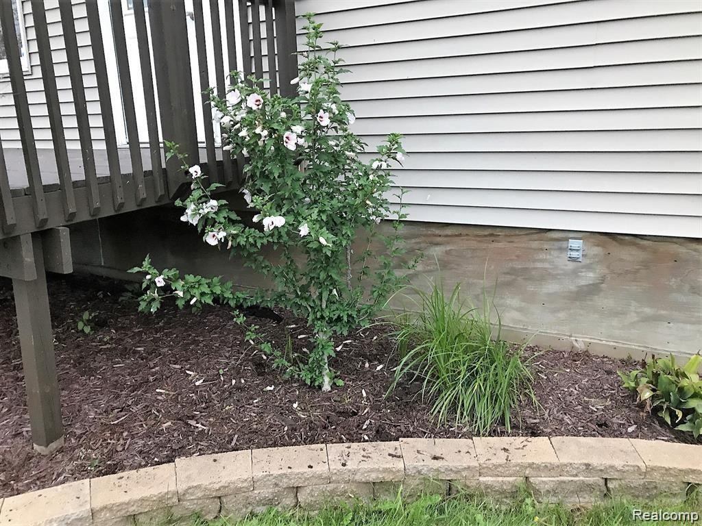16126 Burt Road Capac, MI 48014 - Photo 34 of 38