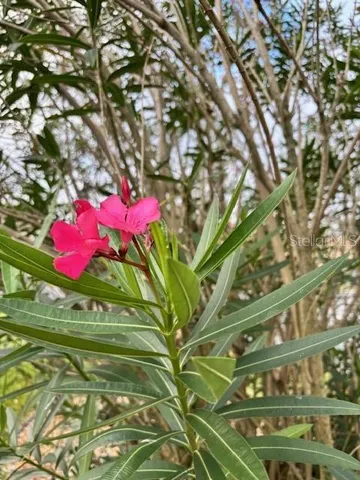 $355,500 | 8955 Southeast 118th Lane, Summerfield, FL 34491