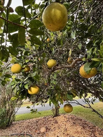 $355,500 | 8955 Southeast 118th Lane, Summerfield, FL 34491