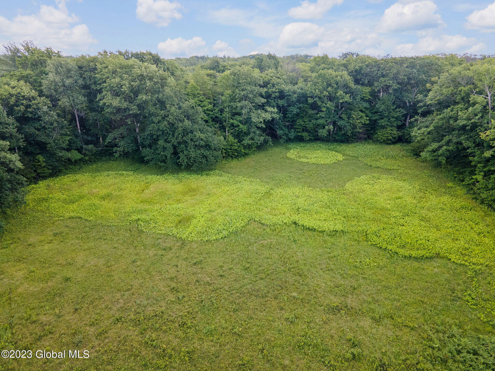 Lot 4-5 South Shore Road Delanson, NY 12053 - Photo 35 of 54 35-web-or-mls-677 Batter St_34