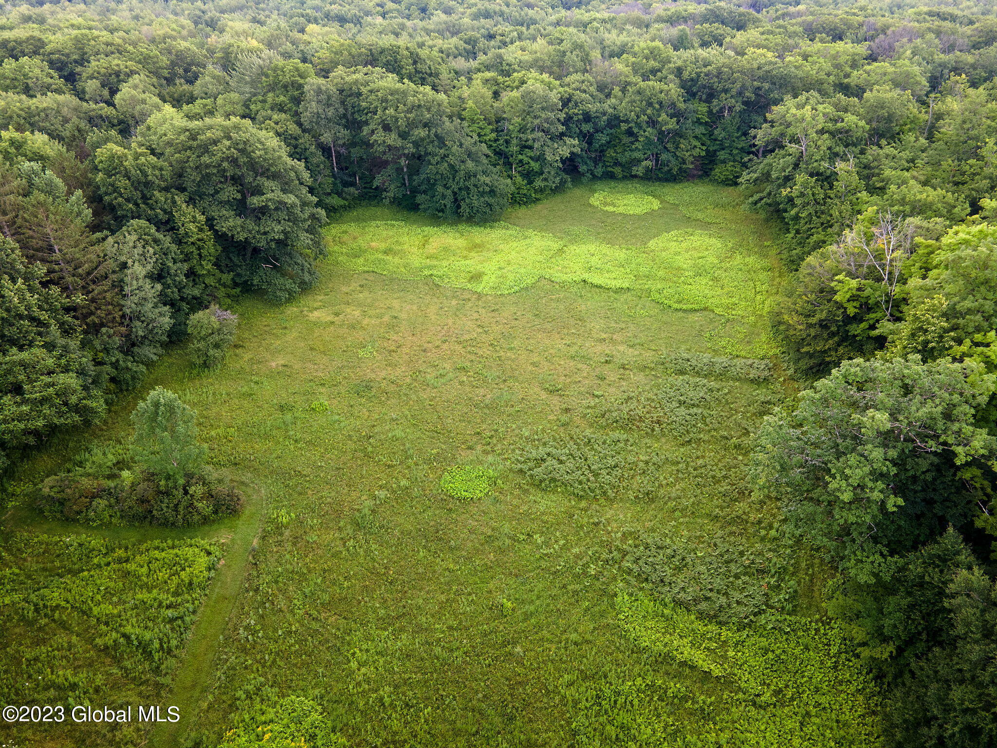 Lot 4-5 South Shore Road Delanson, NY 12053 - Photo 36 of 54 36-web-or-mls-677 Batter St_35