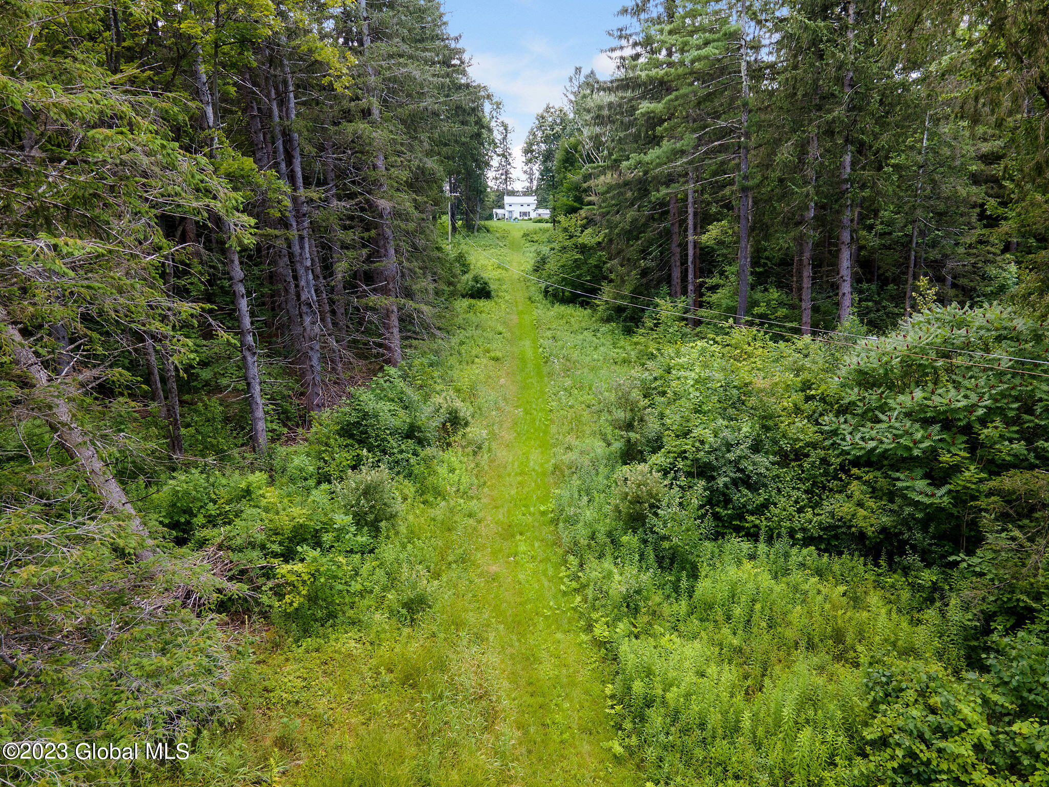 Lot 4-5 South Shore Road Delanson, NY 12053 - Photo 37 of 54 37-web-or-mls-677 Batter St_36