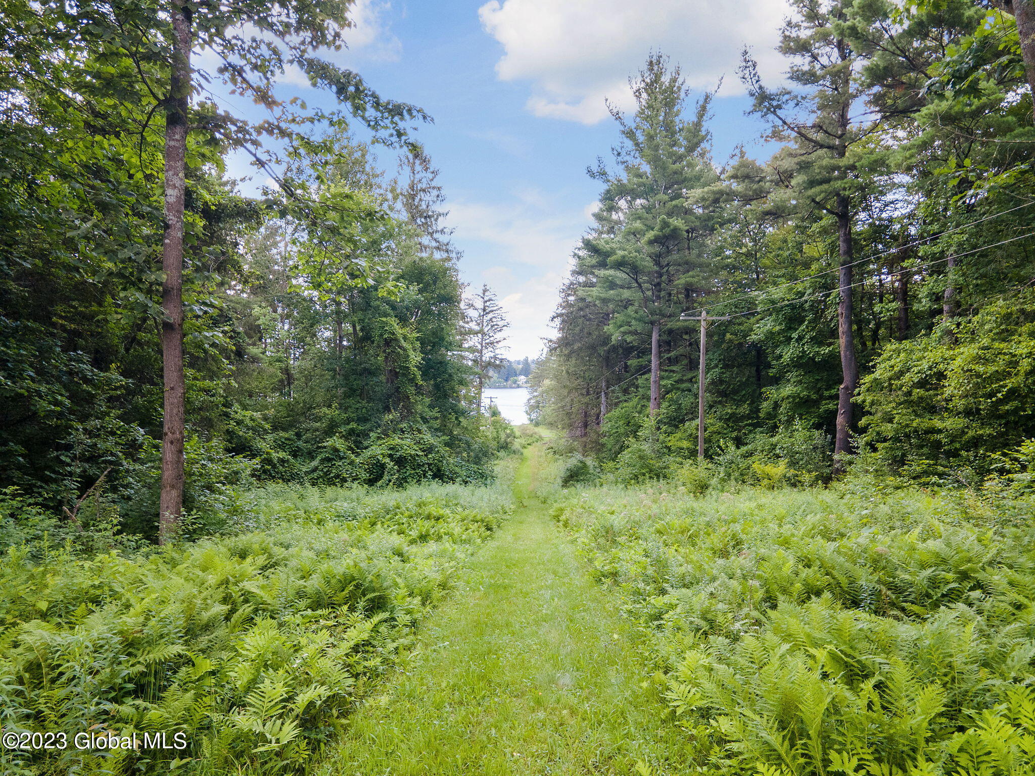Lot 4-5 South Shore Road Delanson, NY 12053 - Photo 38 of 54 38-web-or-mls-677 Batter St_37
