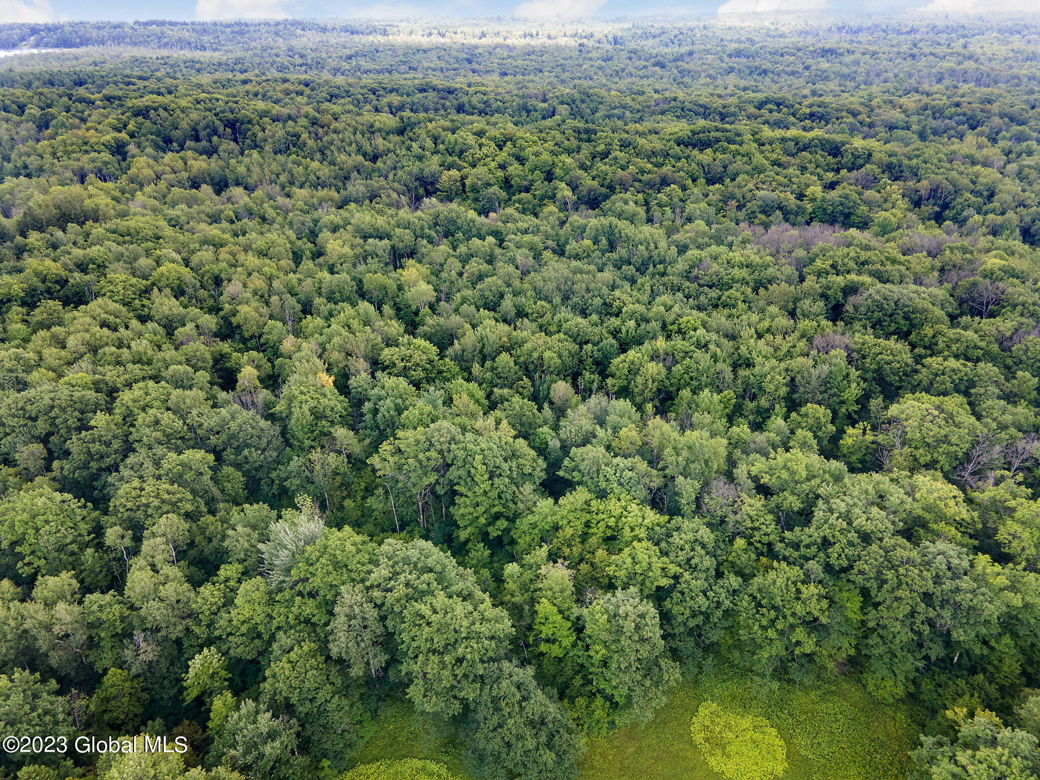 Lot 4-5 South Shore Road Delanson, NY 12053 - Photo 39 of 54 39-web-or-mls-677 Batter St_38