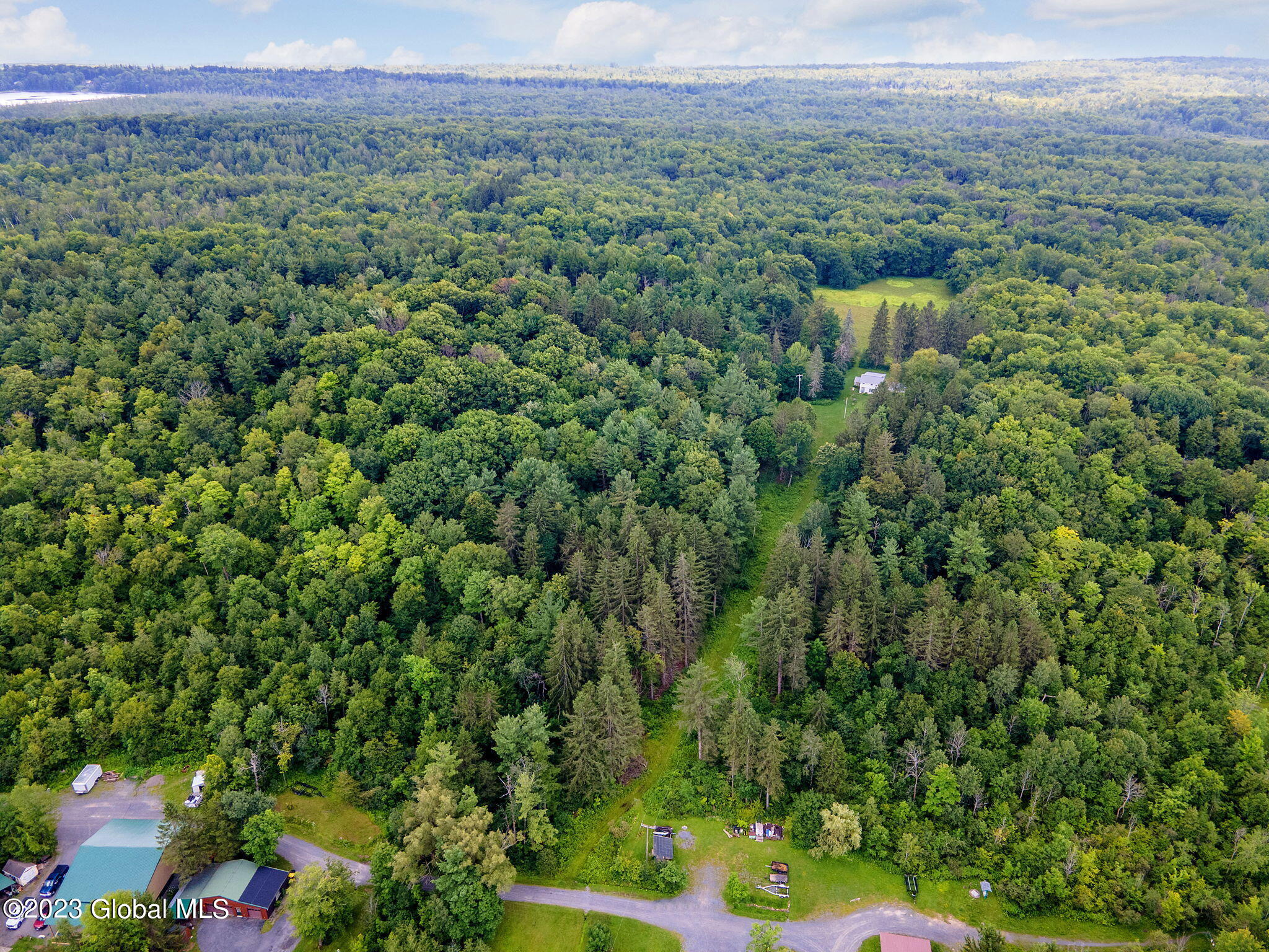 Lot 4-5 South Shore Road Delanson, NY 12053 - Photo 49 of 54 49-web-or-mls-677 Batter St_48