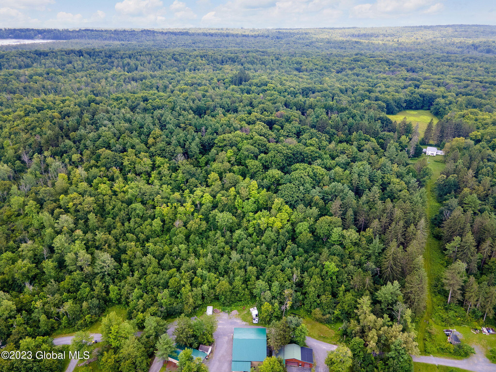 Lot 4-5 South Shore Road Delanson, NY 12053 - Photo 50 of 54 50-web-or-mls-677 Batter St_49